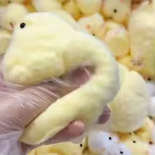 Chick Squishy Toy